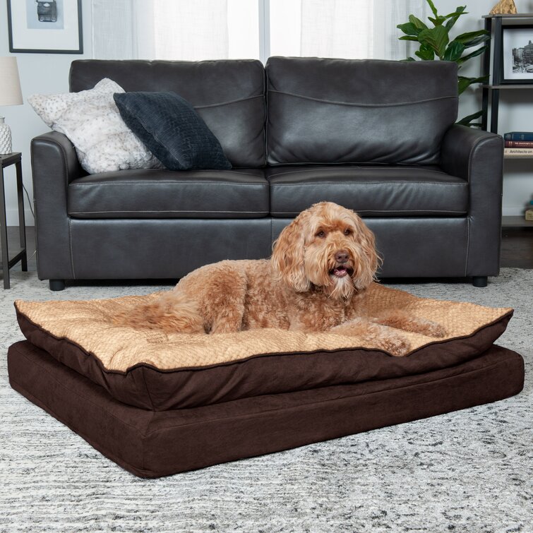 Dog bed with outlet cover attached